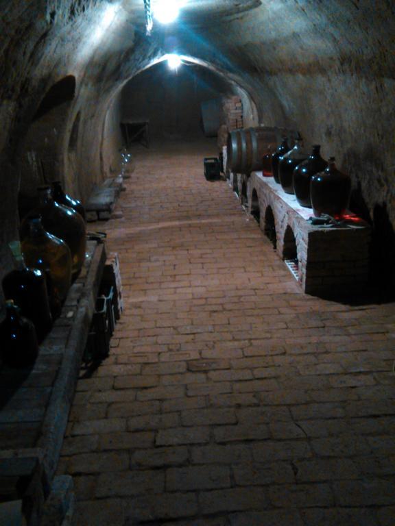 Appartamento Vinarstvi Bician Vrbovec Esterno foto